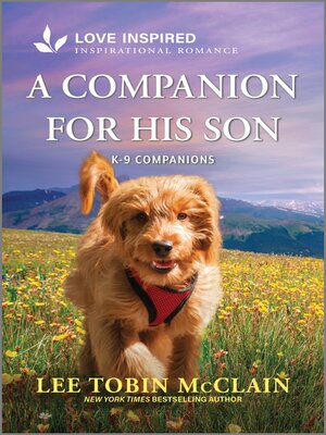 cover image of A Companion for His Son
